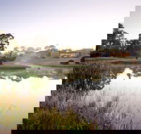 McClelland Sculpture Park  Gallery - Accommodation Fremantle