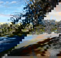 Murray River National Park - Katarapko - Accommodation Fremantle