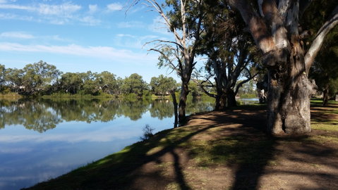 Murray River National Park - Katarapko - Accommodation Fremantle 0