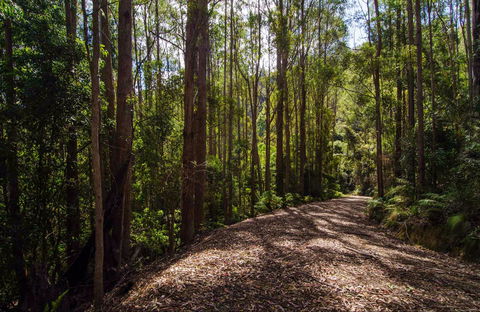 Myrtle Scrub Scenic Drive - Accommodation Fremantle 0