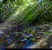 Nambucca Valley - Accommodation Fremantle