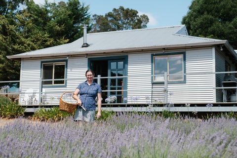 Nannup Lavender Farm - Accommodation Fremantle 1