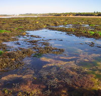 Point Danger Marine Sanctuary - Accommodation Fremantle