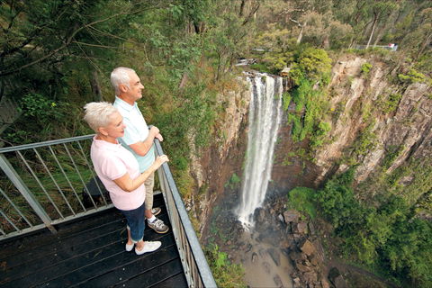 Queen Mary Falls Circuit, Main Range National Park - Accommodation Fremantle 1