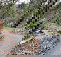 Stepping Stone Crossing to Cascades Trail - Accommodation Fremantle