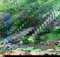Tamborine National Park - Accommodation Fremantle
