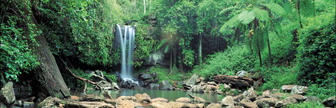 Tamborine National Park - Accommodation Fremantle 0