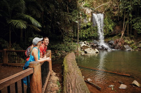 Tamborine National Park - Accommodation Fremantle 1