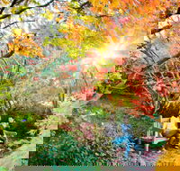 The Blue Mountains Botanic Garden Mount Tomah - Accommodation Fremantle