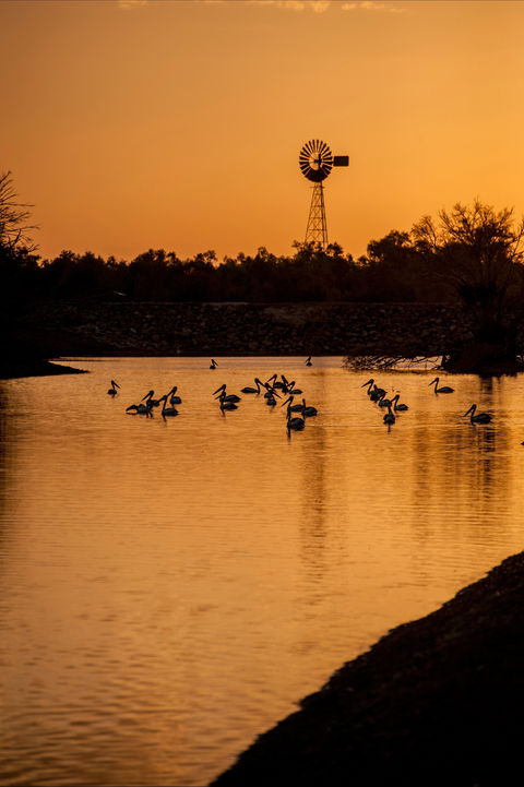 Thomson River, Longreach - Accommodation Fremantle 2