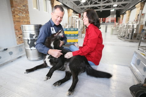 Visit Bucket Brewery - Accommodation Fremantle 2