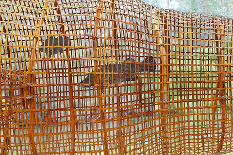 Wagirra Trail And Yindyamarra Sculpture Walk - Accommodation Fremantle 2
