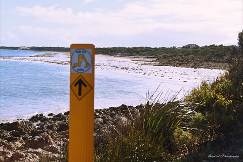 Walk The Yorke Trail - Accommodation Fremantle 2