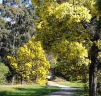 Wattle Park
