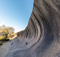 Wave Rock Wildflower Trail - Accommodation Fremantle