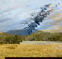 Weddin Mountains National Park - Accommodation Fremantle