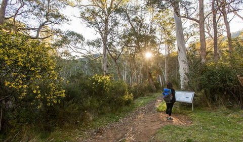 Yarrangobilly Caves – River Walk - Accommodation Fremantle 0