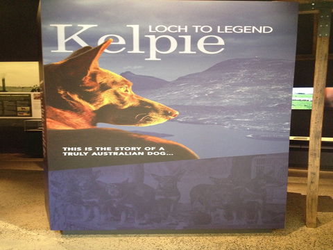 Australian Kelpie Centre - Accommodation Fremantle 1