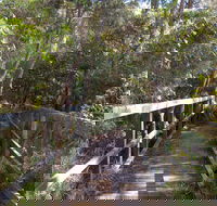 Awaba Bay Foreshore Walk - Accommodation Fremantle