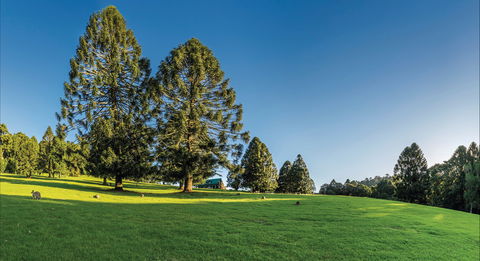 Bunya Mountains National Park - Accommodation Fremantle 0