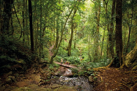 Bunya Mountains National Park - Accommodation Fremantle 1