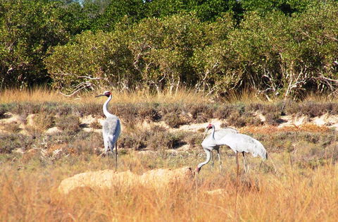 Cape Keraudren Nature Reserve - Accommodation Fremantle 0