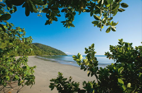 Cape Tribulation, Daintree National Park - Accommodation Fremantle 1