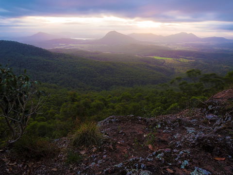 Cunninghams Gap And Spicers Gap, Main Range National Park - Accommodation Fremantle 0
