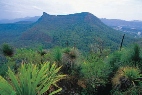 Cunninghams Gap And Spicers Gap, Main Range National Park - Accommodation Fremantle 1
