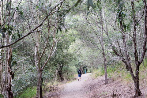 D'Aguilar National Park - Accommodation Fremantle 2