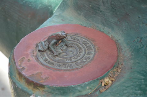 Ellena Street Pavement Art And Sculpture - Accommodation Fremantle 2