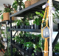 Fancy Plants - Accommodation Fremantle