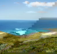 Governor Game Lookout - Accommodation Fremantle