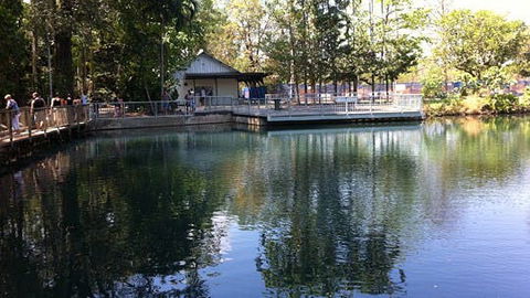 Howard Springs Nature Park - Accommodation Fremantle 1