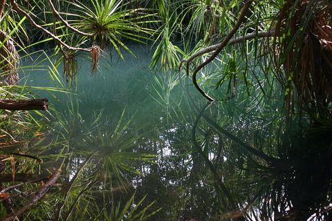 Howard Springs Nature Park - Accommodation Fremantle 2