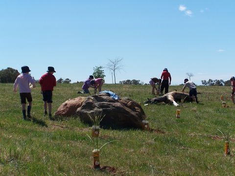 Jim Salmon  Wetland Education Site - Accommodation Fremantle 0