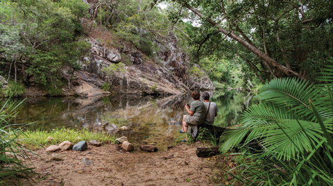 Jourama Falls, Paluma Range National Park - Accommodation Fremantle 1