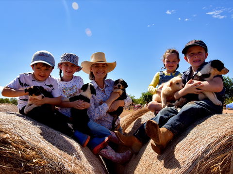 Katherine Outback Experience - Accommodation Fremantle 1