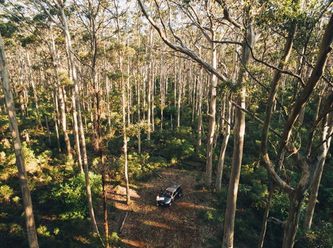 Leeuwin-Naturaliste National Park - Cowaramup - Accommodation Fremantle 0