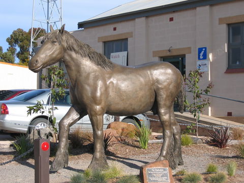 Maitland - Accommodation Fremantle 0