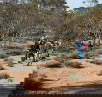 Mallee Stop walking track - Accommodation Fremantle
