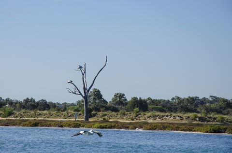 Mandurah Estuary And Peel Inlet - Accommodation Fremantle 1
