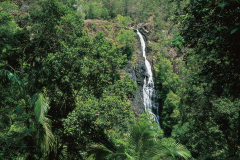Mapleton Falls National Park - Accommodation Fremantle 0