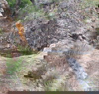 Mill-bullah Walking Track - Accommodation Fremantle