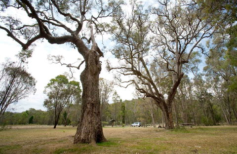 Moolarben Picnic Area - Accommodation Fremantle 0