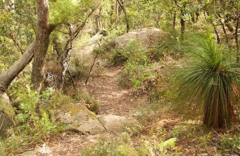 Mount Carnarvon Walking Track - Accommodation Fremantle 0