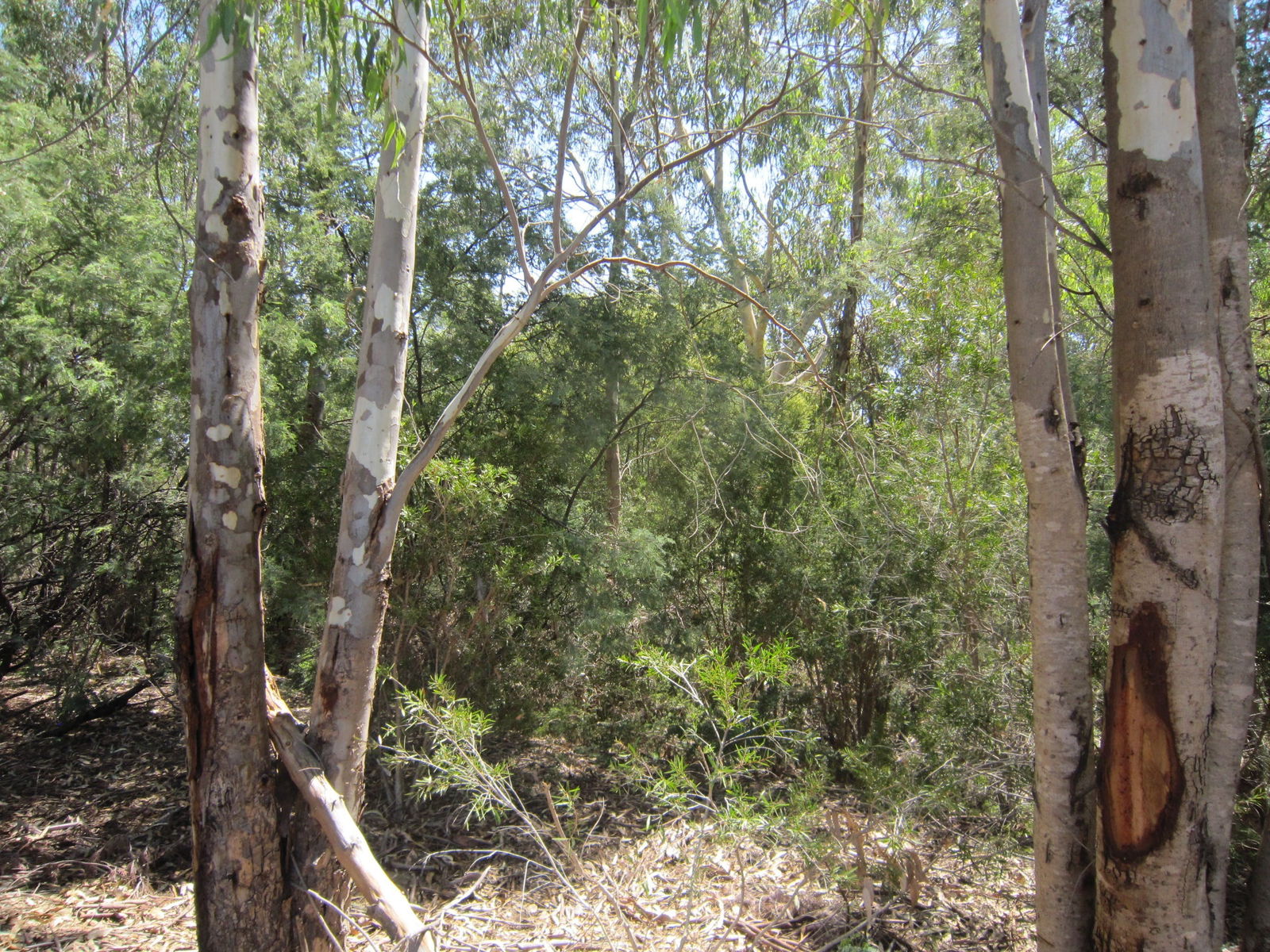 Wangaratta VIC Accommodation Fremantle