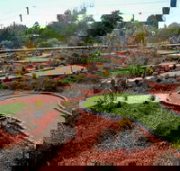 Orange Mini Golf - Accommodation Fremantle