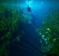 Piccaninnie Ponds Conservation Park - Accommodation Fremantle