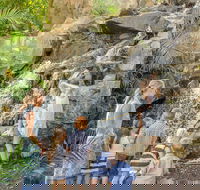 Queens Park Waterfall - Accommodation Fremantle
